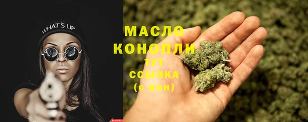 СК Алексин