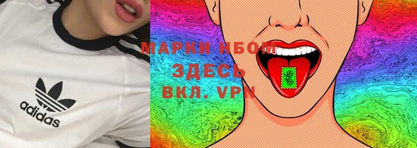 ешки Аркадак