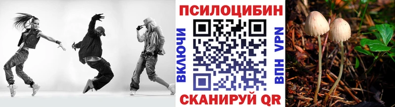 где продают наркотики  OMG как зайти  Псилоцибиновые грибы ЛСД  Майкоп 
